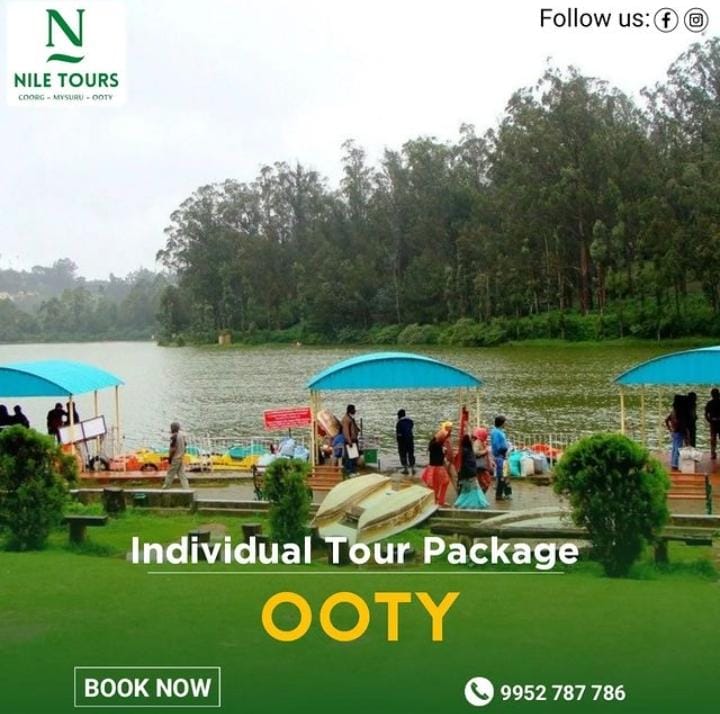 NILE TRAVEL AND TOURS visual data 2